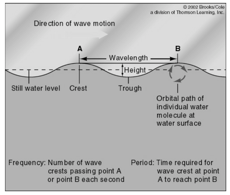 WaveMetrics.jpg