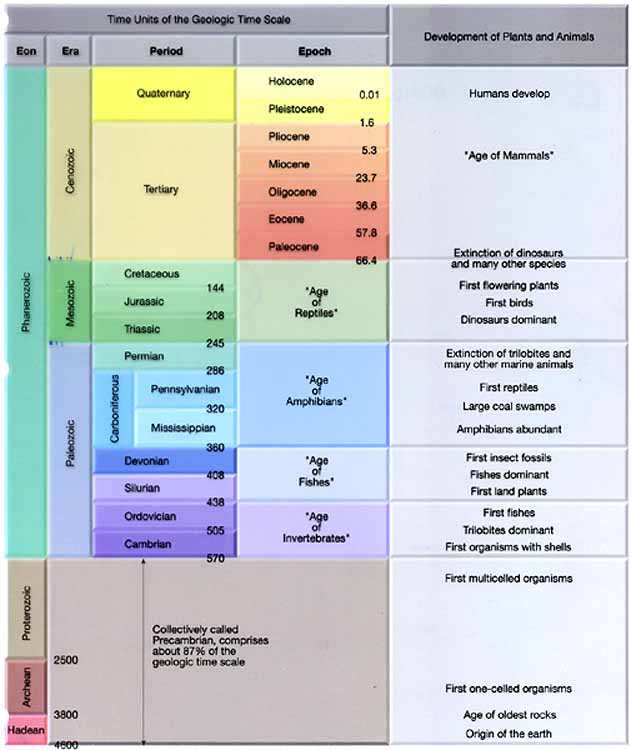 Time scale.jpg