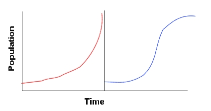 Population growth.jpg