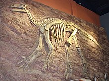 Iguanodon.jpg