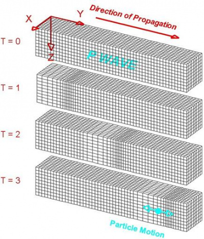 P-wave medium.jpg