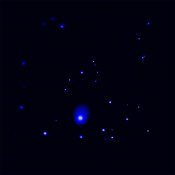 Ic10 xray.jpg