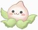 Pachimari2.jpg