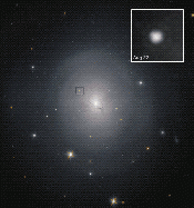 Ngc4993.gif