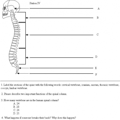 A2j spinalcolumn.jpg