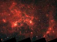 Dragonfish Nebula Spitzer.jpg