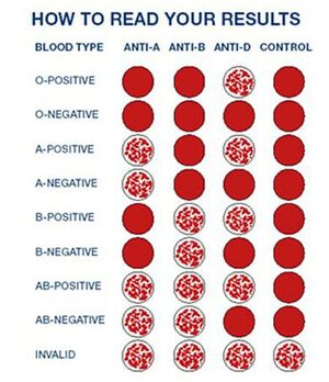 Blood Typing.png