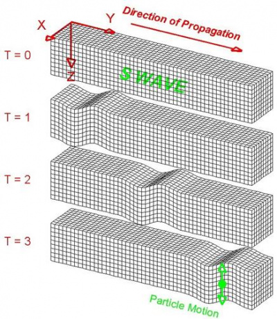 S-wave medium.jpg