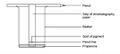 ChromatographyDiagram.jpg