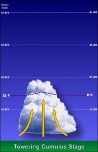 Thunderstorm - Towering Cumulus Stage.jpg